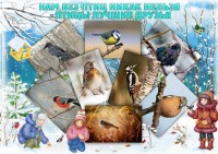 Краевая экологическая акция «Покормите птиц зимой!»